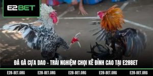 Đá Gà Cựa Dao - Trải Nghiệm Chọi Kê Đỉnh Cao Tại E28bet