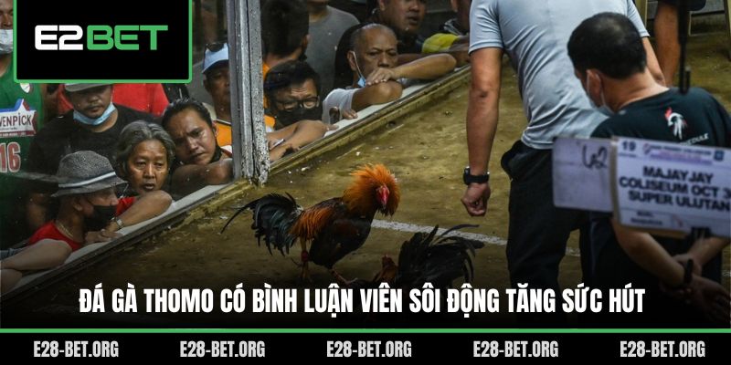 Đá Gà Thomo Có Bình Luận Viên Sôi Động Tăng Sức Hút