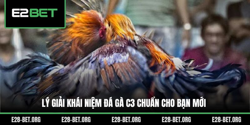 Lý giải khái niệm đá gà C3 chuẩn cho bạn mới