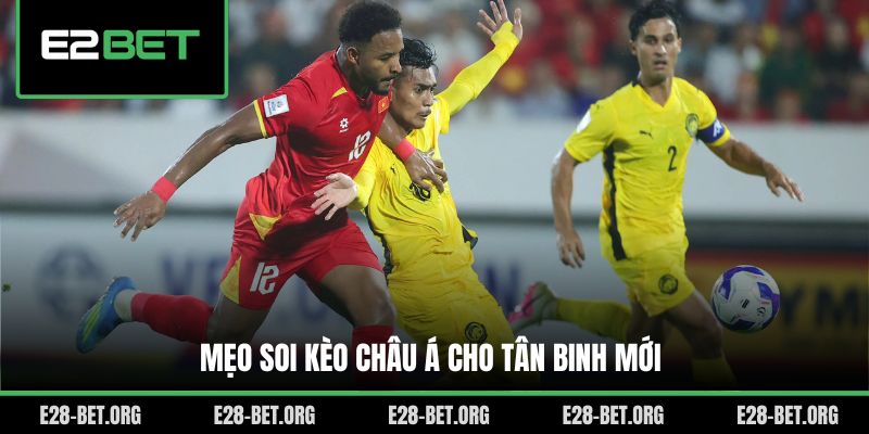 Mẹo soi kèo châu Á cho tân binh mới