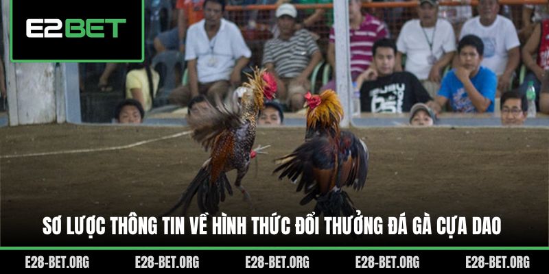 Sơ lược thông tin về hình thức đổi thưởng đá gà cựa dao