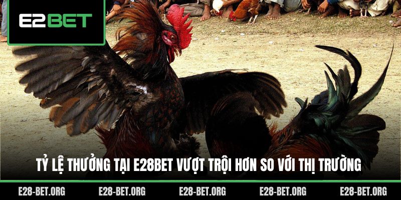 Tỷ lệ thưởng tại E28bet vượt trội hơn so với thị trường